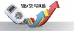 机械水表与智能水表并存