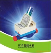 智能水表是您理想中的它吗？